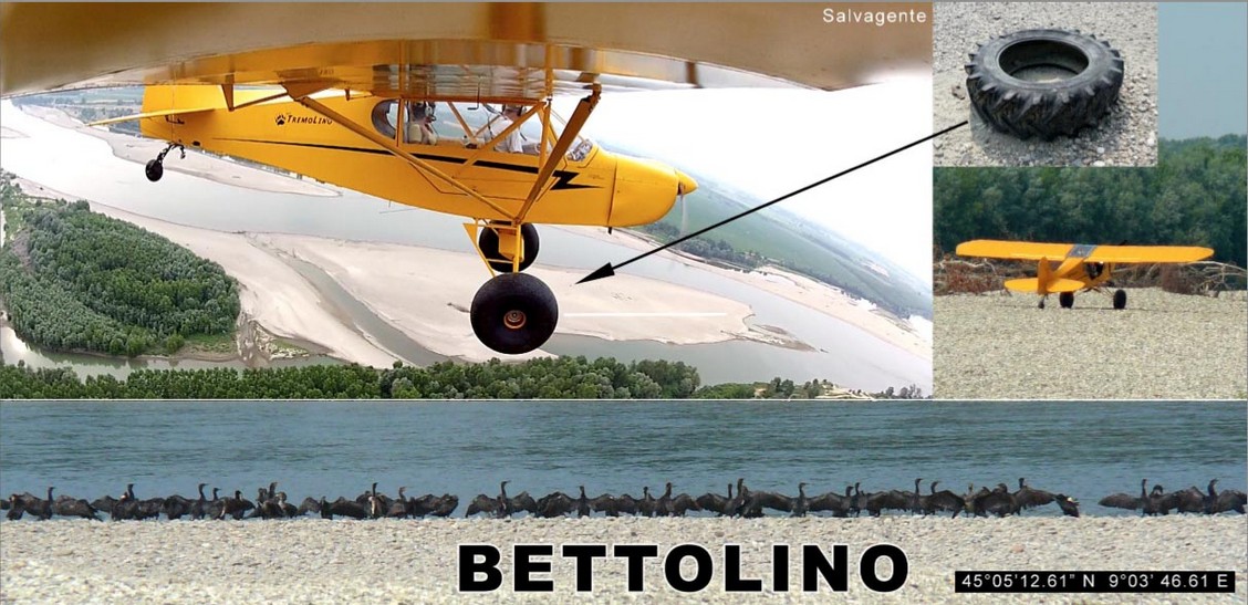 Bettolino